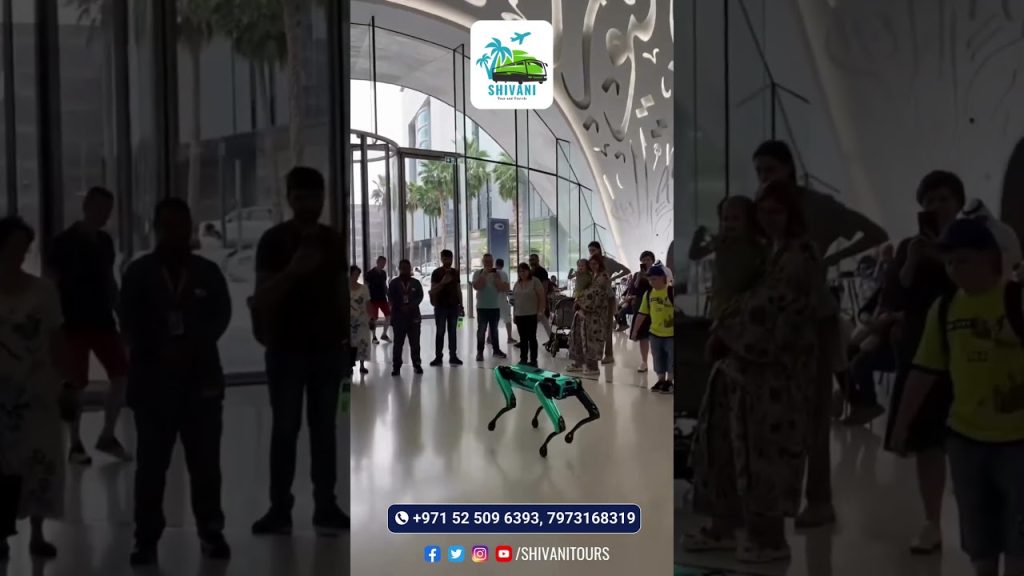 BEST TOUR AND TRAVEL COMPANY IN DUBAI  - SHIVANI TOURS AND TRAVEL