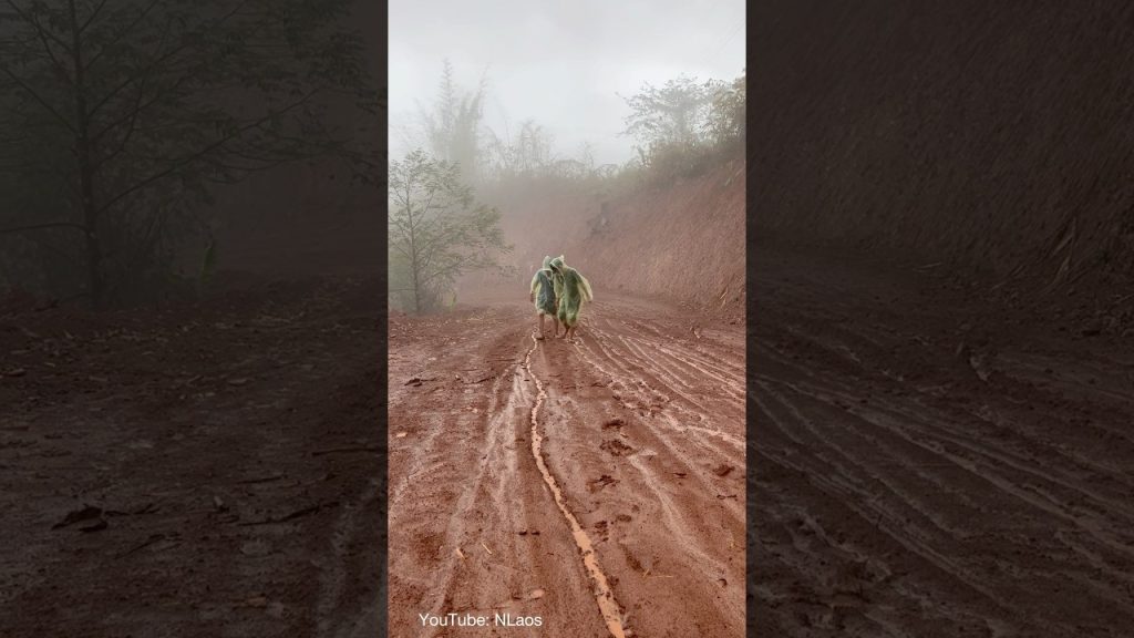 Muddy roads in northern Laos 🇱🇦 #music #shortvideo #travel #travelblog #nature ##offroad