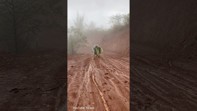 Muddy roads in northern Laos 🇱🇦 #music #shortvideo #travel #travelblog #nature ##offroad