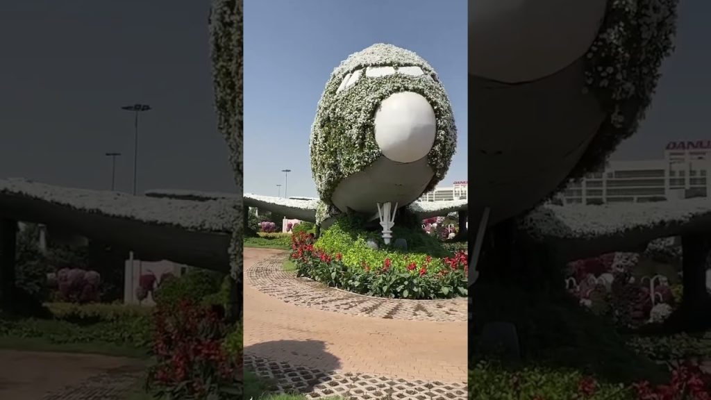 Pleasant #naturelovers #naturephotography #blog #travel #dubai #shorts #youtubeshorts #reels #fun