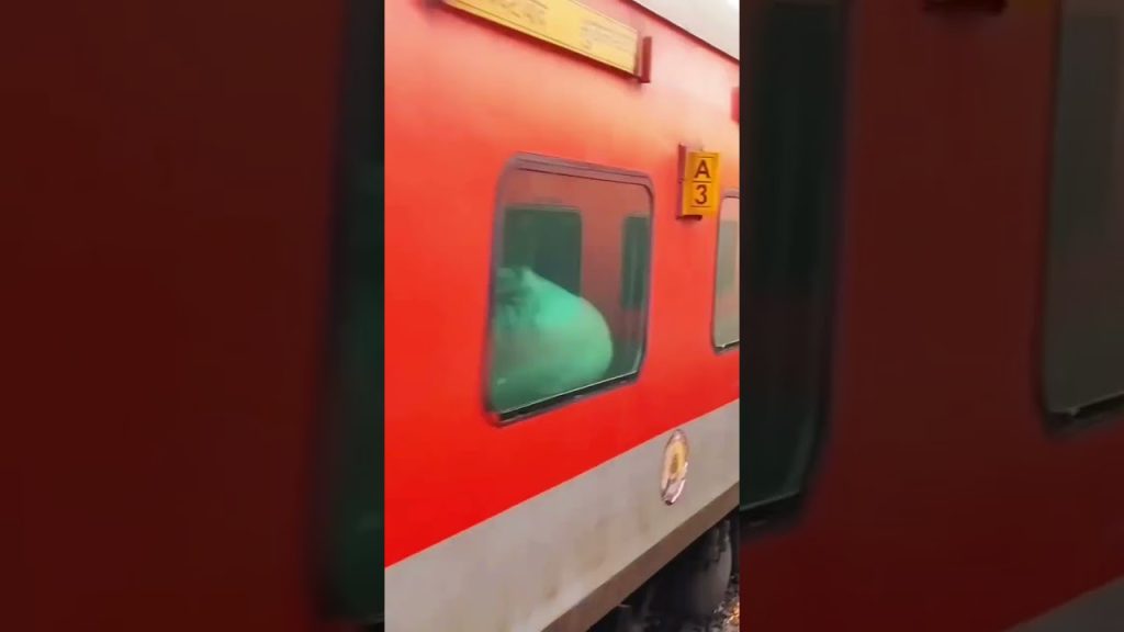jharkhand travel blog railway journey ranchi to Puri shree jagannath dham yatra 🛕🚩🕉️ jai jagannath 🙏