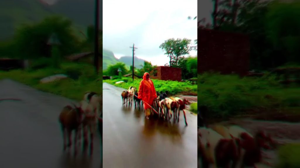 स्वर्ग #travelling #nature #travelblog #bhatkanti #travel #travelvideo #shetkari #automobile #❤️❤️