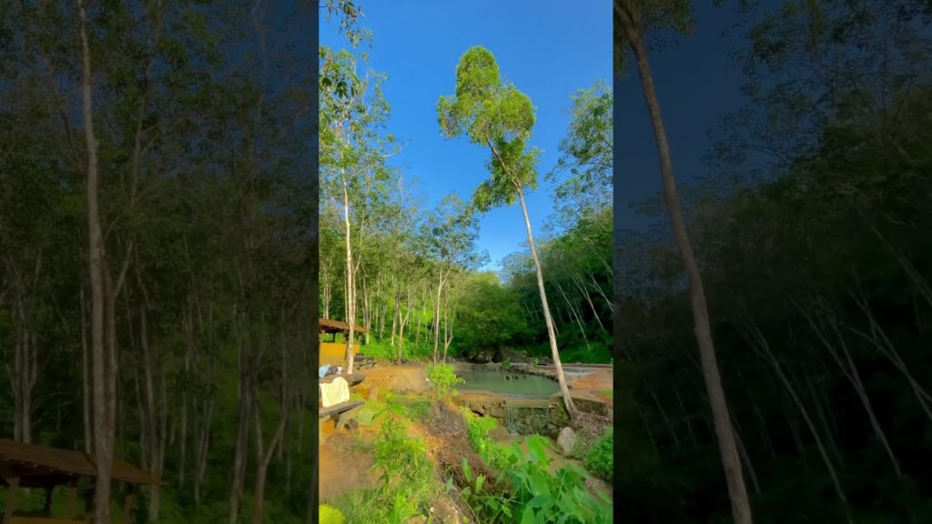 #travel #travelblog #life #nature #srilanka #village #villagelife