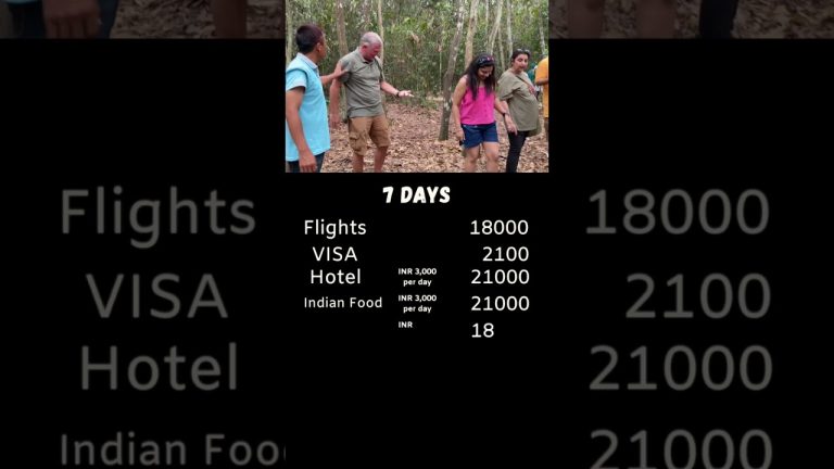 India to Vietnam trip #vietnamtrip #vietnam #hochiminh #vietnamtravel #hanoi #travelguide