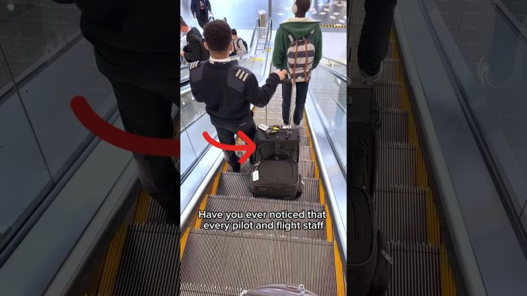 Here’s the carry-on that pilots and flight staff actually use ✈️🧳