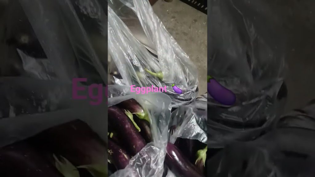 #travel #blog #nature #viral #amazing #viralvideo #eggplant #lifeinprovince