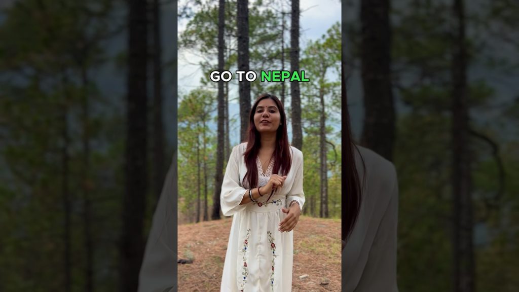 India to Nepal travel complete information #shortsindia #viralvideo #nepal #nepalvlog #travelblogger