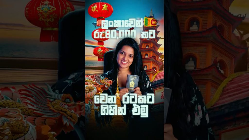 අඩුවට රට tour එකක් යමු |Best Budget Travel Destinations for Sri Lankans ✈️ | Flight  & Travel Tips